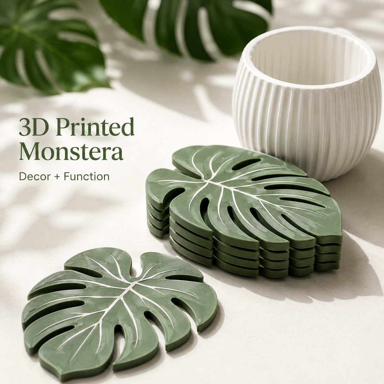 Posavasos de Planta Monstera,  - Office Furniture Brands reseña y precio