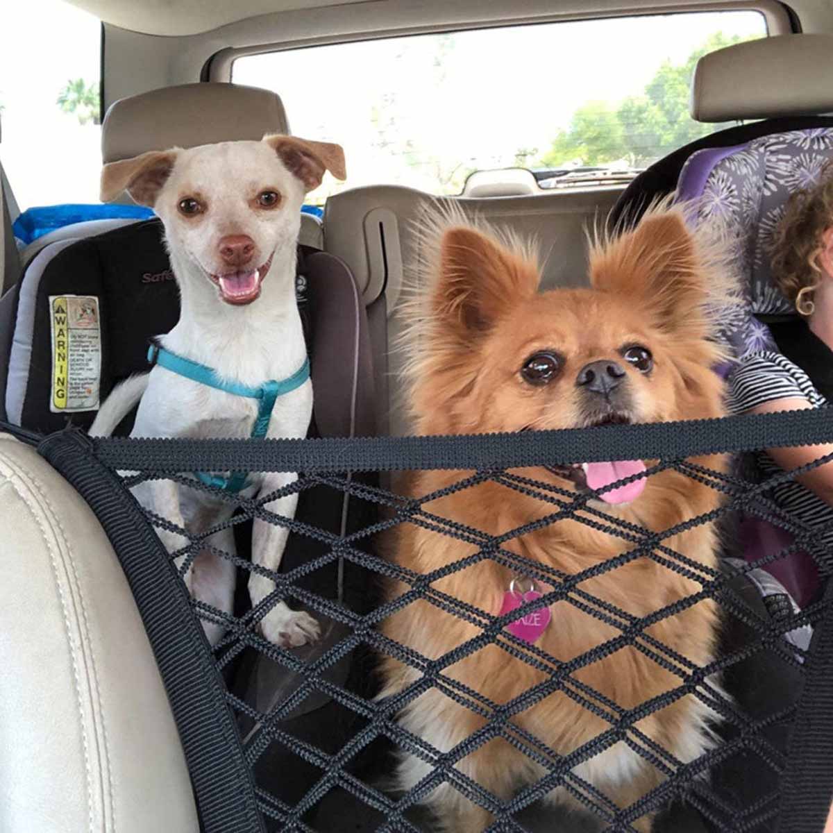Asiento trasero para perro, va - Partition Screen Divider reseña y precio